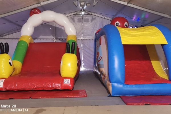 IMG_20190310_142233 IMG_20190310_142233